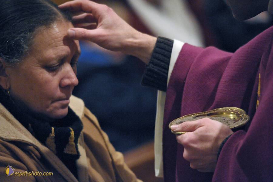 Nom de l'image : D30045877_1_(c)Norbert-JUNG — Description :